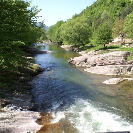 Семеен Хотел Федора Ribarița Exterior foto