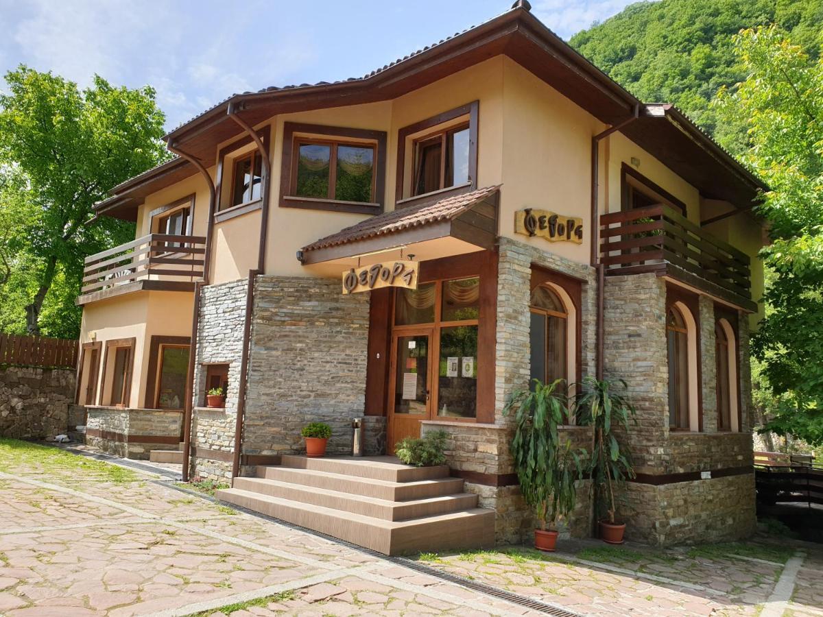 Семеен Хотел Федора Ribarița Exterior foto