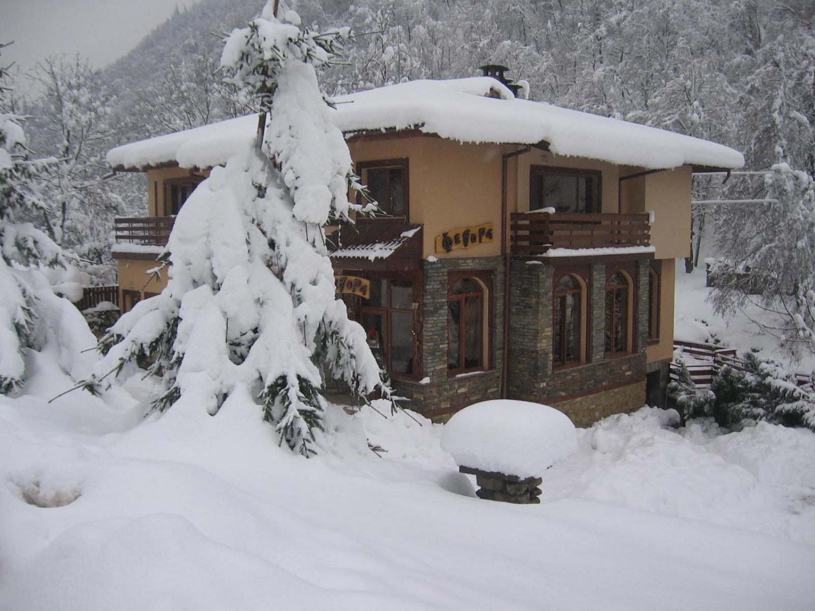 Семеен Хотел Федора Ribarița Exterior foto