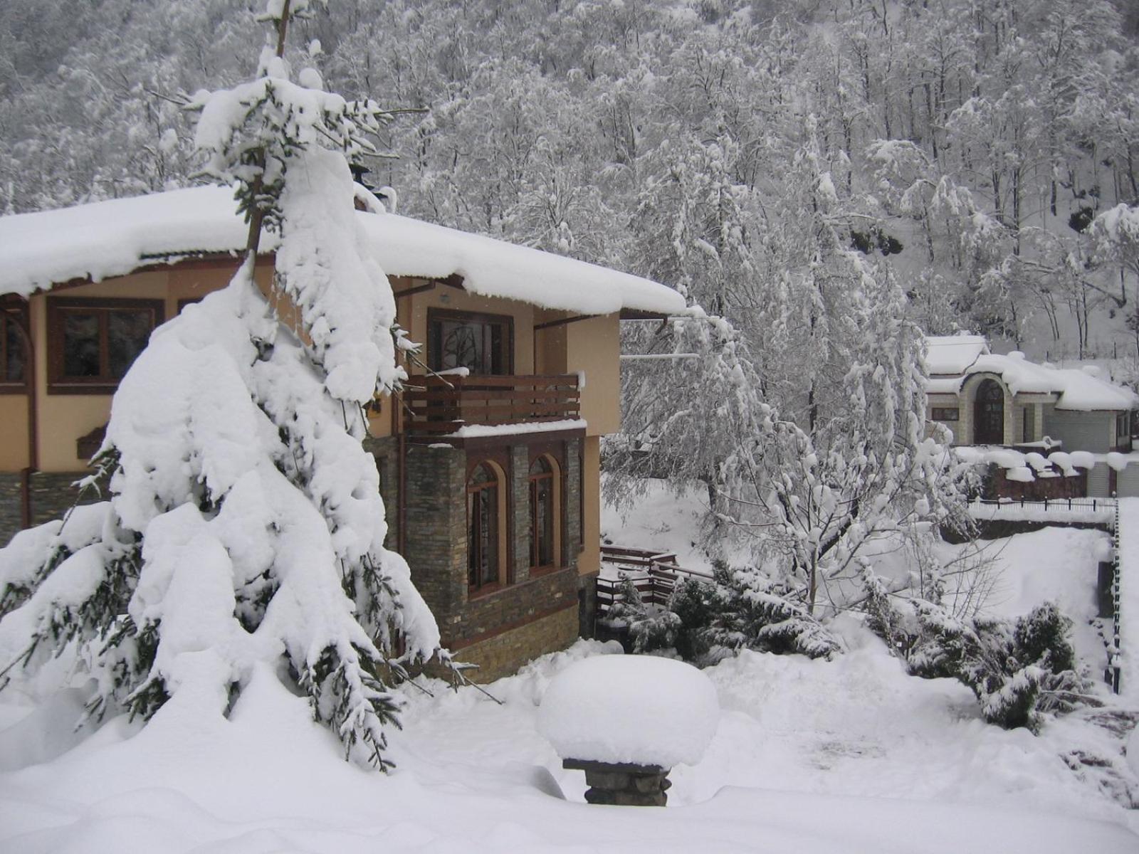 Семеен Хотел Федора Ribarița Exterior foto