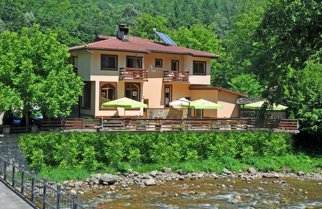 Семеен Хотел Федора Ribarița Exterior foto