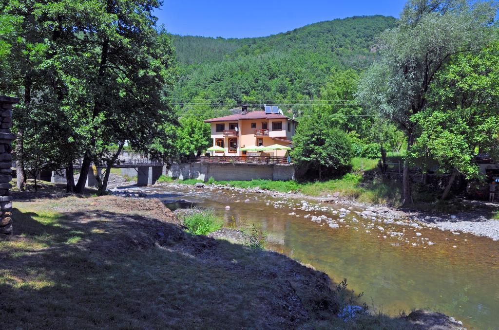 Семеен Хотел Федора Ribarița Exterior foto
