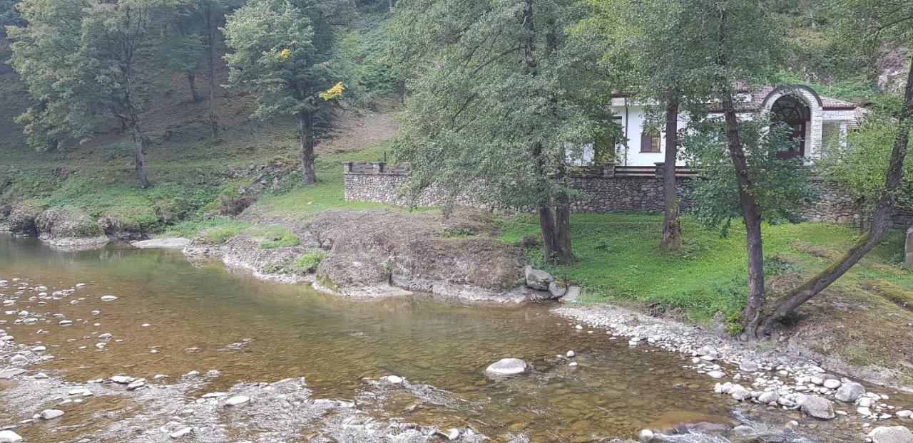 Семеен Хотел Федора Ribarița Exterior foto