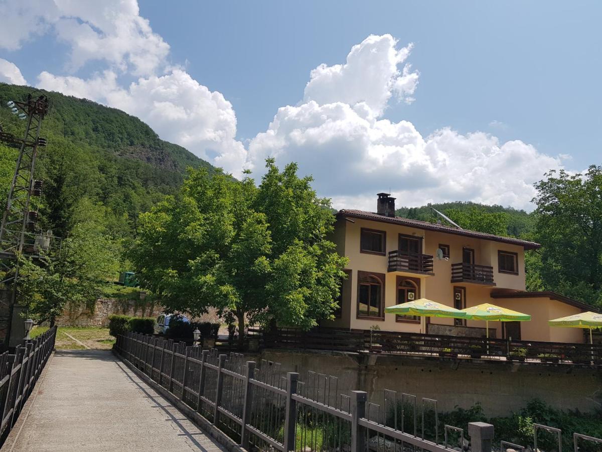 Семеен Хотел Федора Ribarița Exterior foto