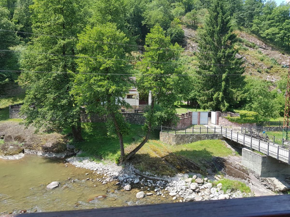 Семеен Хотел Федора Ribarița Exterior foto