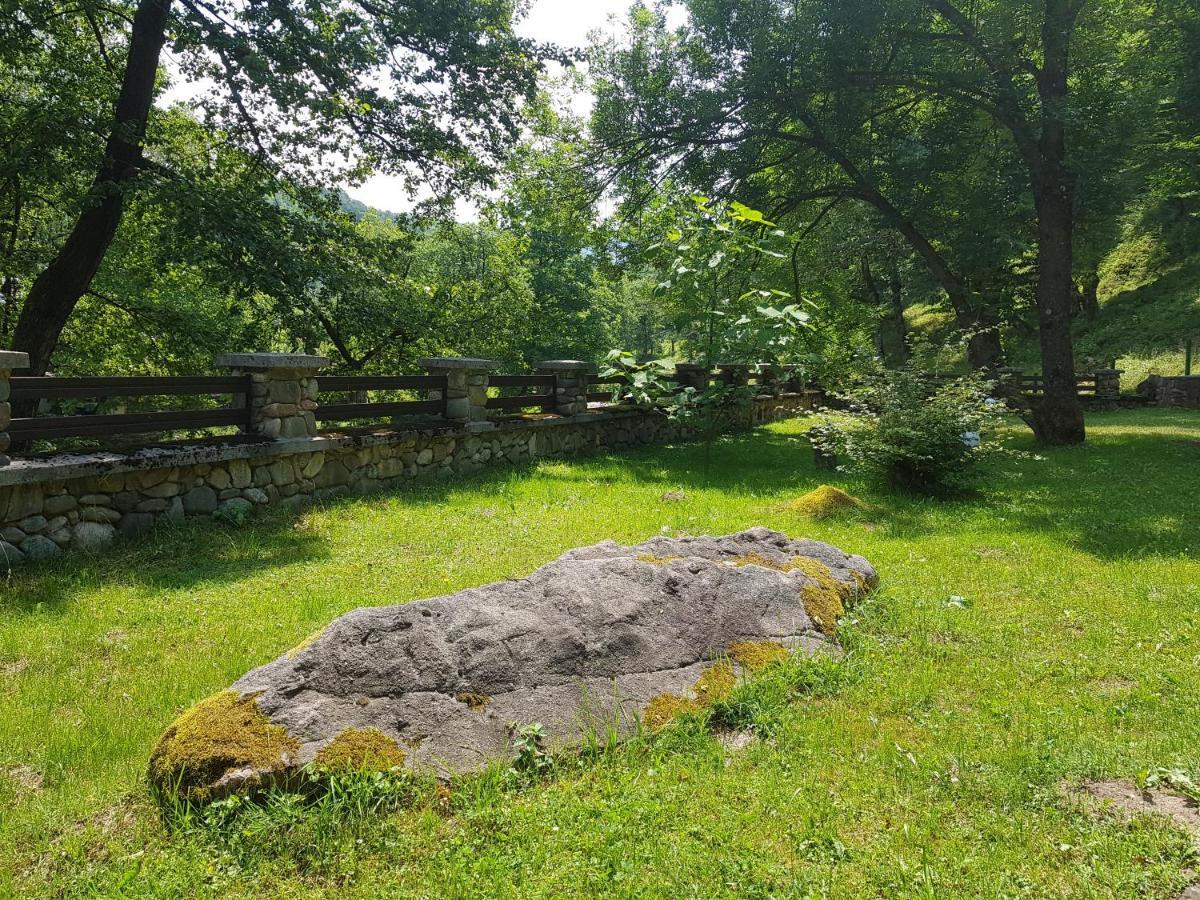 Семеен Хотел Федора Ribarița Exterior foto