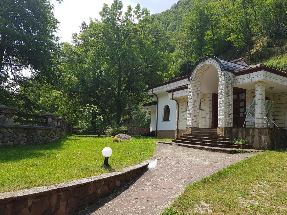Семеен Хотел Федора Ribarița Exterior foto