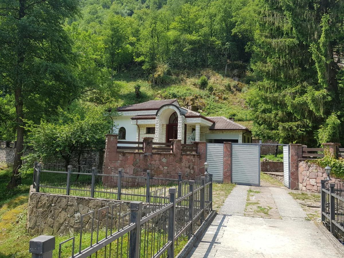 Семеен Хотел Федора Ribarița Exterior foto