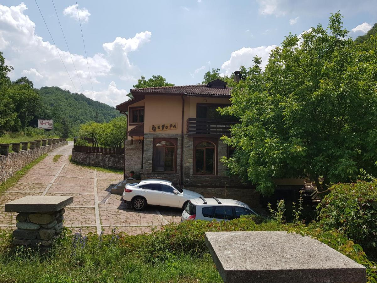 Семеен Хотел Федора Ribarița Exterior foto