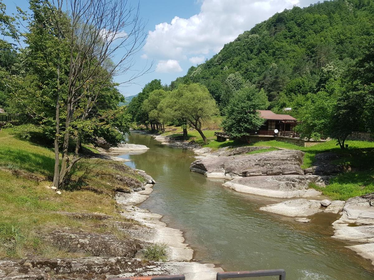 Семеен Хотел Федора Ribarița Exterior foto