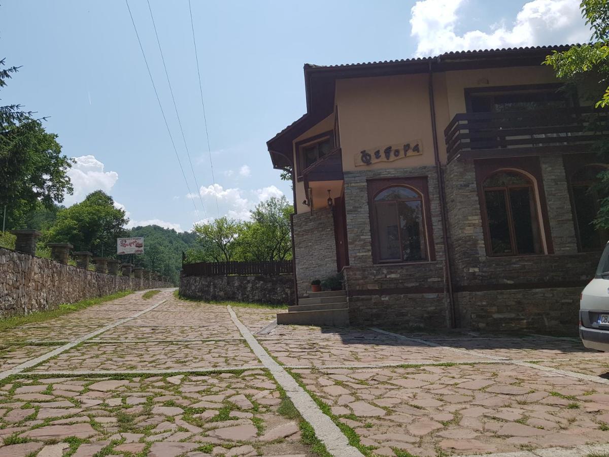 Семеен Хотел Федора Ribarița Exterior foto