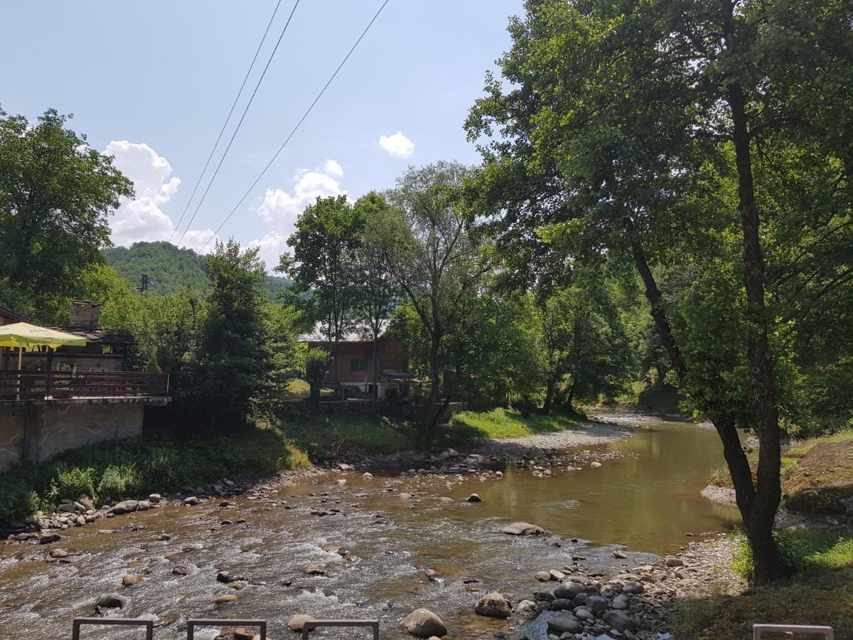 Семеен Хотел Федора Ribarița Exterior foto